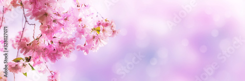 Fotomural kirschblüten vor abstraktem hintergrund