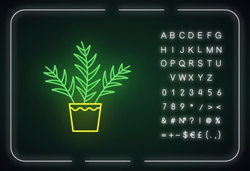 Canvas Print - Parlor palm neon light icon. Chamaedorea elegans. Neanthe bella palm. Indoor tropical plant. Outer glowing effect. Sign with alphabet, numbers and symbols. Vector isolated RGB color illustration