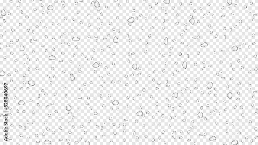 Water rain drops on transparent background, realistic style, vector elements - obrazy, fototapety, plakaty 