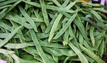 Background Of Green Beans
