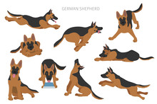 German Shepherd Dogs In Different Poses. Shepherd Characters Set