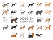 Doggish Alphabet For Dog Lovers. Letters Of The Alphabet With The Names Of The Dog Breeds
