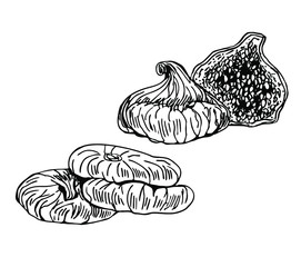 Wall Mural - Dried figs with half in line art style.