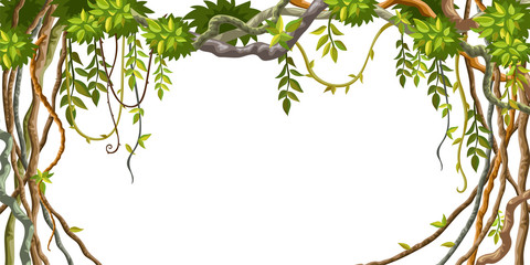 Liana branches and tropical leaves on white background. Cartoon frame plants of jungle with space for text. Isolated vector illustration. 
