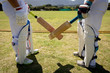 © Wavebreak Media - Cricket players face to face on a pitch