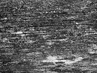 Worn wood texture detail. Abstract background, rough textured and cracked.