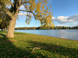 Autumn Lake in Sloterpark, Amsterdam