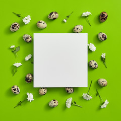 Wall Mural - Quail eggs with flower top view. Square shape with paper blank