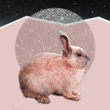 Space Bunny With Silver Moon