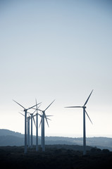 renewable energy concept