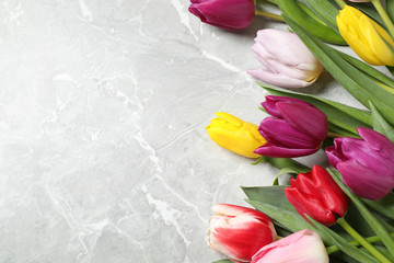 Beautiful spring tulips on grey marble table, flat lay. Space for text