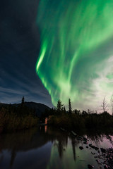 incredible phenomenon aurora borealis green northern lights shining bright in alaska starry night sk