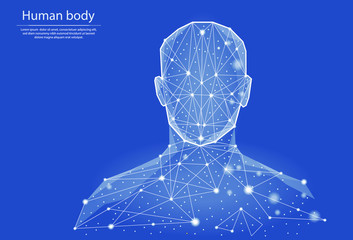 Low poly vector illustration of human body  in the form of lines and dots, consisting of triangles and geometric shapes. 3d polygonal space. Abstract image of a person in the form of a neural network.