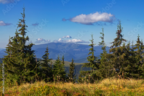 Plakaty Karpaty   typowy-krajobraz-karpacki-aspekt-letni-krajobraz-gorski-las-w-gorach-niebieski