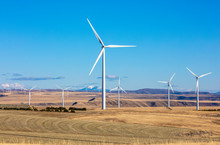 Wind Turbines In A Field With Blue Sky