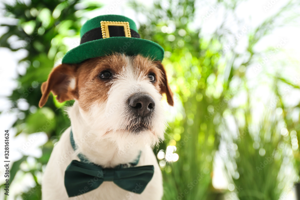 Jack Russell terrier with leprechaun hat and bow tie outdoors, space for text. St. Patrick's Day - obrazy, fototapety, plakaty 
