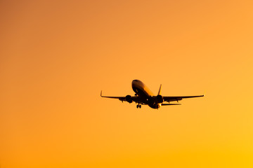 Wall Mural - Large airliner passengers view is landing on the landing strip at the airport against the backdrop of bright orange sunset on a sunny summer day. A plane flies in the sky at sunset day