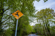 Deer Crossing Warning Sign By The Side Of The Road In Killarney National Park