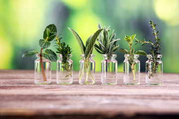 Wall Mural - Homegrown and aromatic herbs in glass with sage and oregano