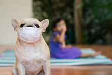 Dog Sitting With Little Girl Wearing Medical Mask, Preventing Flu, Pollution And Convid-19