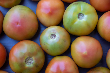 Unripe tomatoes on a rustic wooden background