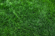 © Mariusz Blach - Natural green grass background, fresh lawn top view