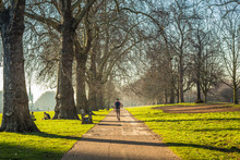 Unrecognizable Man Walking Through The Park On A Tree-lined Pathway On A Sunny Day. Hyde Park, London UK