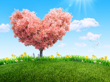 Green Grass And Spring Flowers At Backyard And Bloom Tree In Shape Of Heart