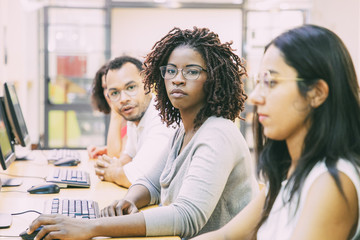 Wall Mural - diverse group of trainees working in computer class. line of man and women in casual sitting at tabl