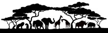 African Safari Animals And Trees In Silhouettes Scene