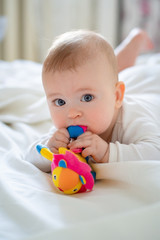 the baby grow teeth and he bites toy. gums itch.