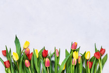Border Of Red And Yellow Tulips On Light Background. Beautiful Greeting Card. Holidays Concept. Copy Space, Top View
