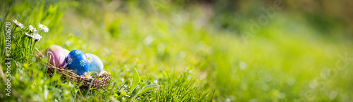 Fotomural Nest with easter eggs in grass on a sunny spring day - Easter decoration, banner