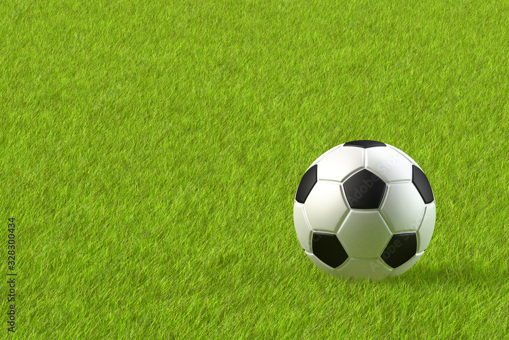 3dレンダリングによる芝生のグランドとサッカーボールのイラスト Mapy Obrazy