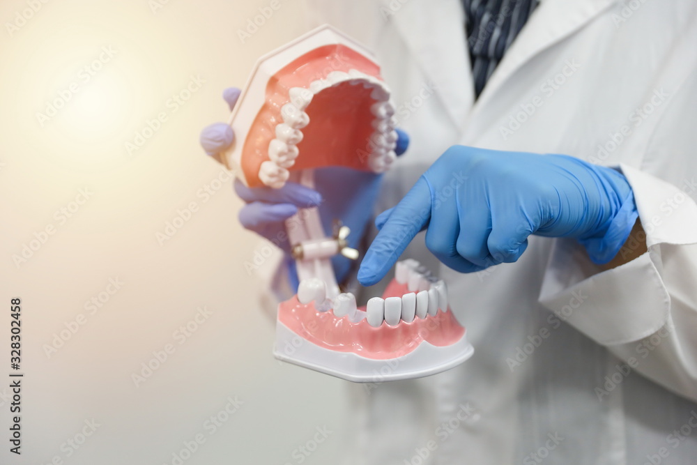 the hands of a dentist doctor hold a model of human's jaw with missing ...