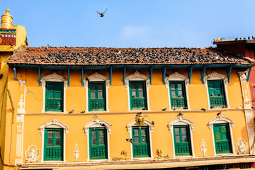 Pigeons on the roof of building near the Boudhanath stupa. Kathmandu, Nepal