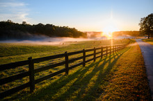 Beautiful Color Rural Landscape Nature Photo With Fence And Pathway Road Along Field Pasture Filled With Cows And Foggy Clouds At Sunset