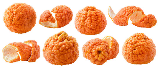 Wall Mural - Isolated seedless tangerines. Collection of fresh tangerine fruits with bumpy skin isolated on white background with clipping path