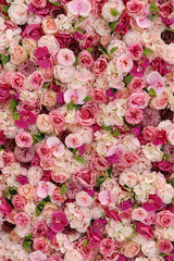  Roses in floral background