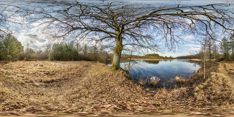 Wall Mural - full seamless spherical hdri panorama 360 degrees angle view on pedestrian walking path among oak grove with clumsy branches near wide river in equirectangular projection with , ready VR AR content