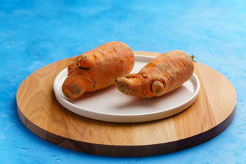 Two ugly carrots in a plate on a blue concrete background. Zero food waste concept.