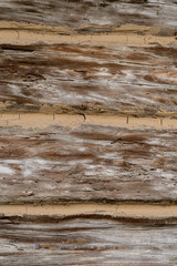  Texture od wooden planks. Wall made of antique wood. Raw wood after century.