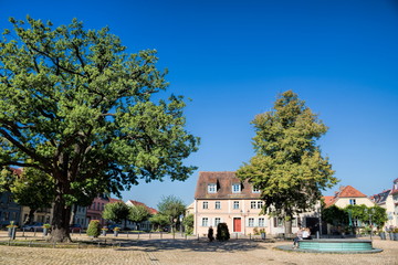 Wall Mural - werder havel, deutschland - historischer marktplatz