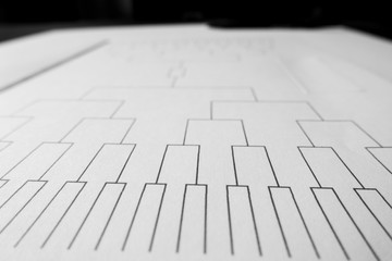 blank sprots bracket grid on white paper and close focus