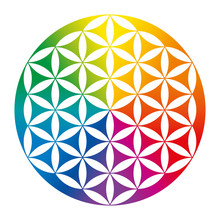 Rainbow Colored Inverted Flower Of Life. Geometrical Figure, Spiritual Symbol And Sacred Geometry. Overlapping Circles Forming A Flower Like Pattern With Symmetrical Structure. Illustration. Vector.