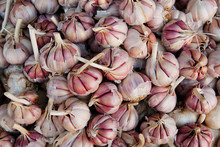 Heads Of Garlic For Sale
