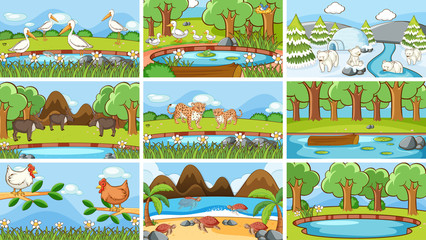 Poster - Background scenes of animals in the wild