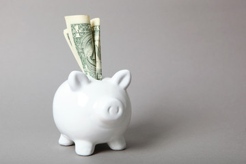 Wall Mural - piggy piggy bank and dollar on a colored background. Save money.