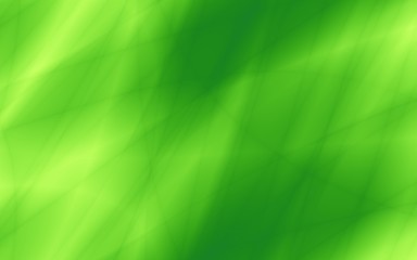 Wall Mural - Jungle green screen abstract background