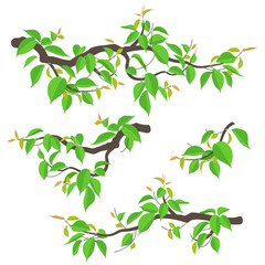 Wall Mural - Tree Branches Set Vector Flat